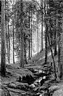 Famous Forest Paintings - Stream by a Forest Slope